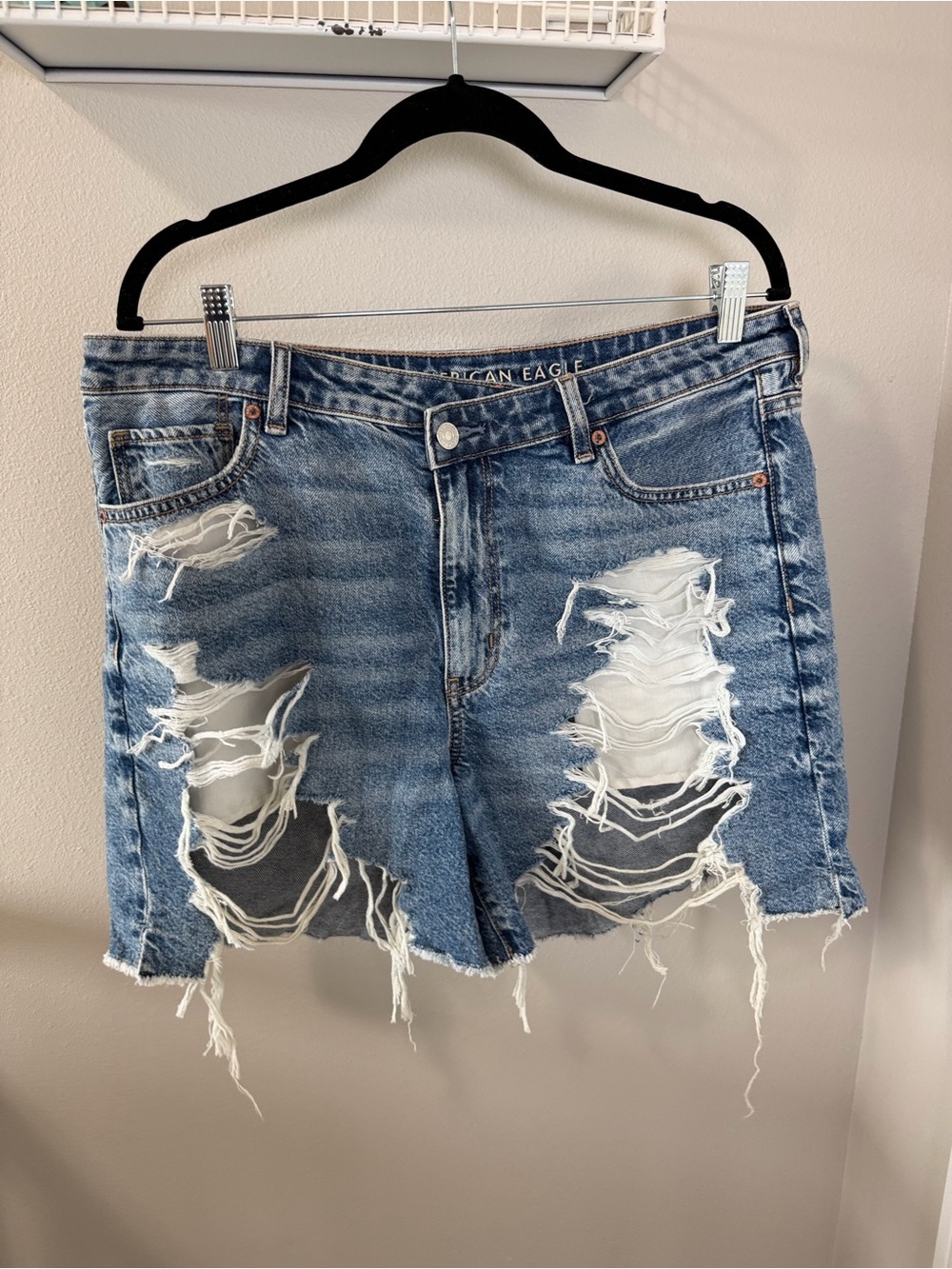 American Eagle Outfitters Ripped Light Blue Denim Shorts
